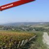 Les vignes de Chitry en Bourgogne